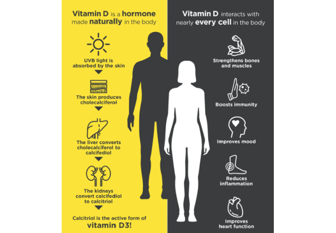 Vitamin D3: An Indispensable Power Source for Your Health