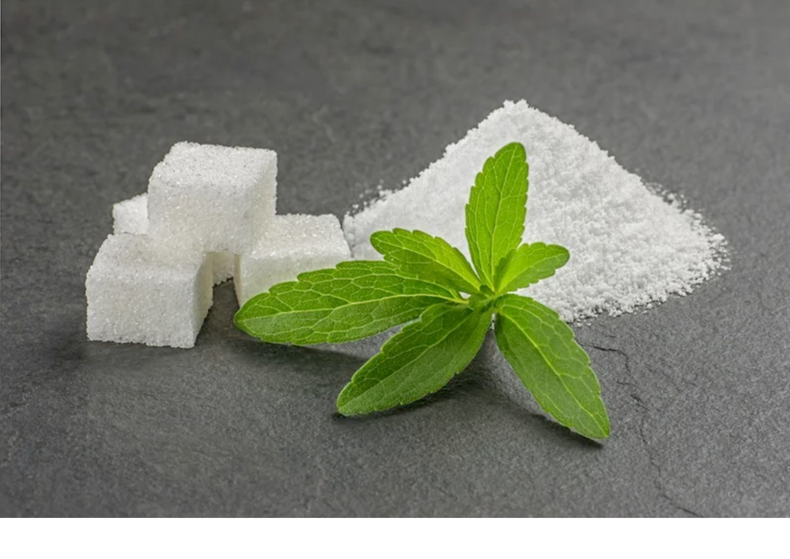 Stevia or Sucralose ?